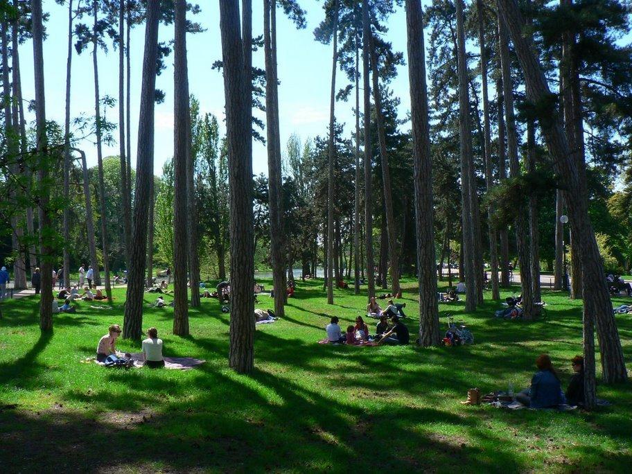 Luxury Flat With Patio Garden Apartment Paris